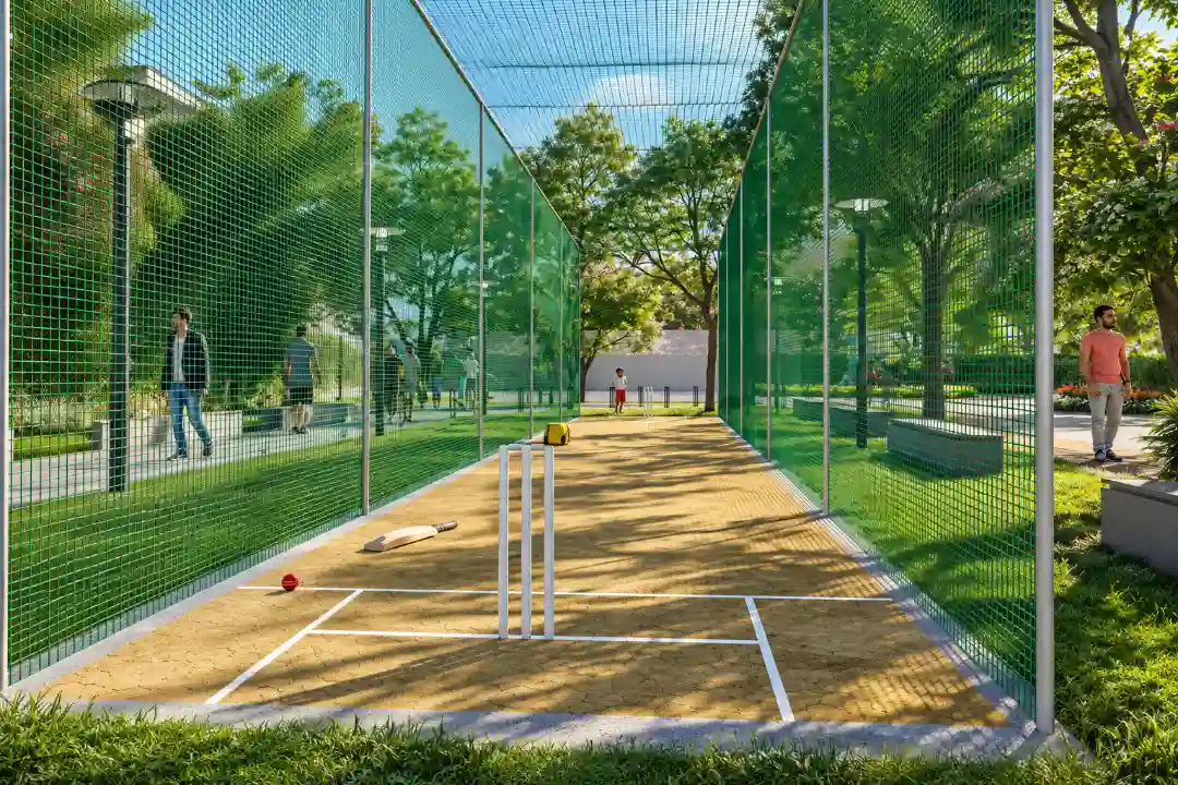 Cricket Court